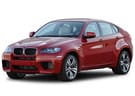 Коврики на BMW X6 (E71/E72) 2008 - 2014 в Томске