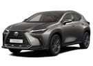 Коврики на Lexus NX II 2021 - 2024 в Томске