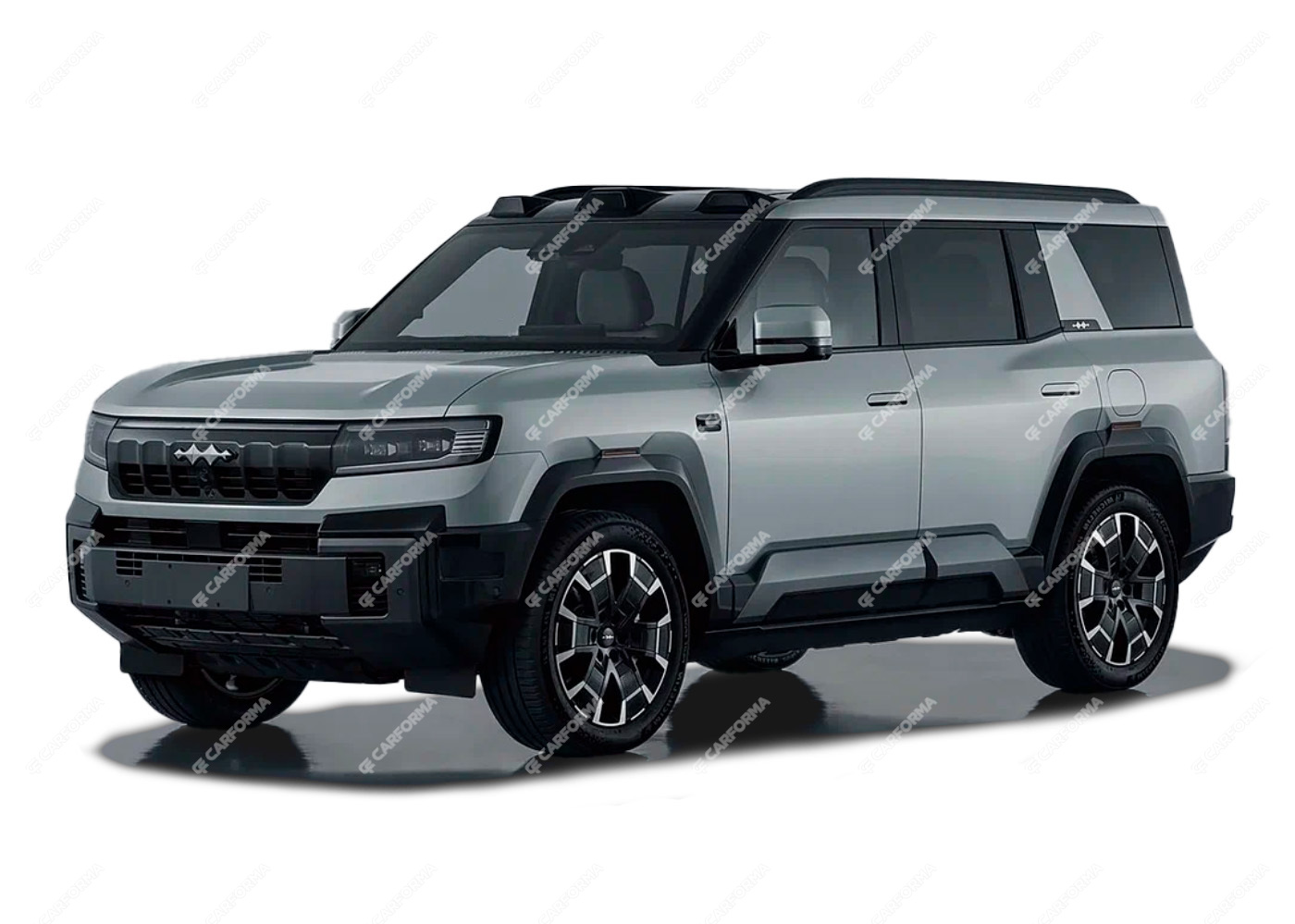 Ворсовые коврики на BYD Leopard 8 2024 - 2025