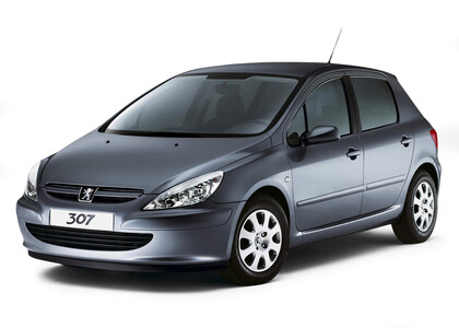 Коврики на Peugeot 307 2001 - 2008 в Томске