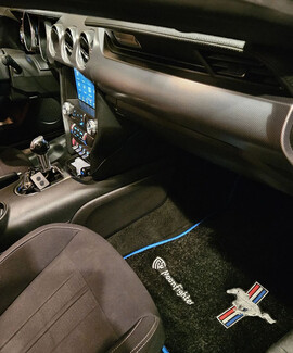 Ворсовые коврики на Ford Mustang VI 2013 - 2023 в Томске Ворсовые коврики на Ford Mustang VI 2013 - 2023 в Томске