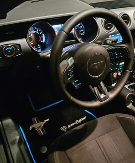 Ворсовые коврики на Ford Mustang VI 2013 - 2023 в Томске Ворсовые коврики на Ford Mustang VI 2013 - 2023 в Томске