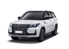 Коврики на Changan CS95 2016 - 2025 в Томске